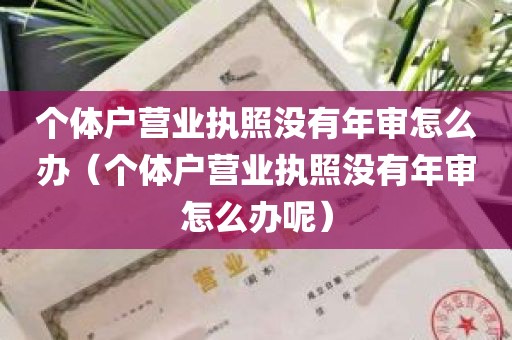 个体户营业执照没有年审怎么办（个体户营业执照没有年审怎么办呢）