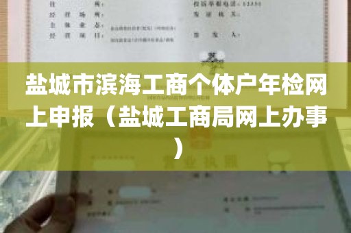 盐城市滨海工商个体户年检网上申报（盐城工商局网上办事）