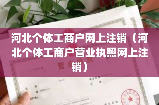 河北个体工商户网上注销（河北个体工商户营业执照网上注销）