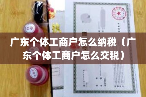 广东个体工商户怎么纳税（广东个体工商户怎么交税）