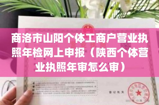 商洛市山阳个体工商户营业执照年检网上申报（陕西个体营业执照年审怎么审）