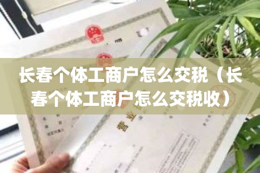 长春个体工商户怎么交税（长春个体工商户怎么交税收）