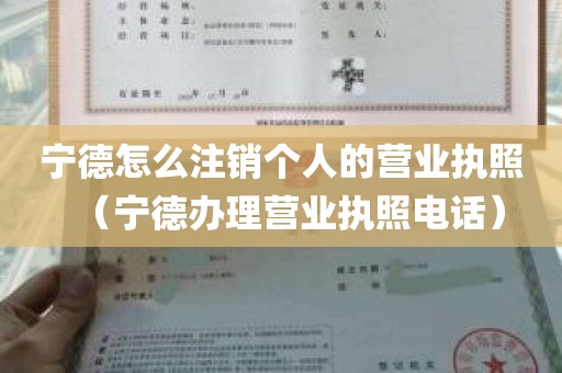 宁德怎么注销个人的营业执照（宁德办理营业执照电话）