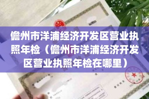 儋州市洋浦经济开发区营业执照年检（儋州市洋浦经济开发区营业执照年检在哪里）