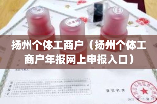 扬州个体工商户（扬州个体工商户年报网上申报入口）