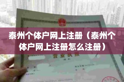 泰州个体户网上注册（泰州个体户网上注册怎么注册）