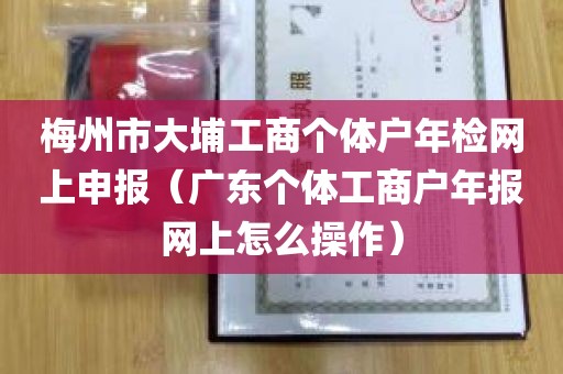 梅州市大埔工商个体户年检网上申报（广东个体工商户年报网上怎么操作）