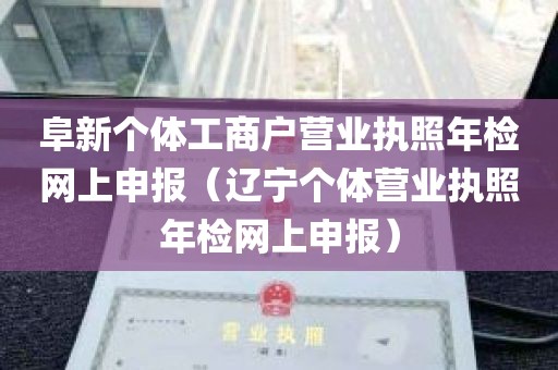 阜新个体工商户营业执照年检网上申报（辽宁个体营业执照年检网上申报）