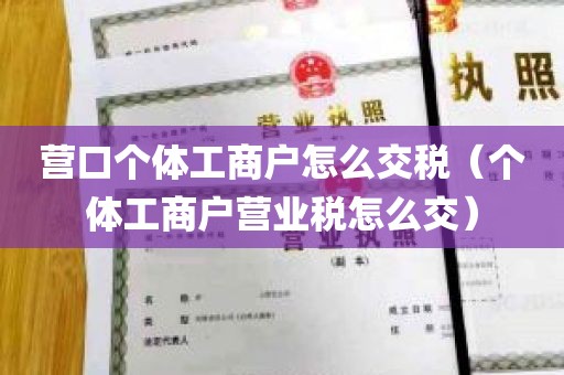 营口个体工商户怎么交税（个体工商户营业税怎么交）