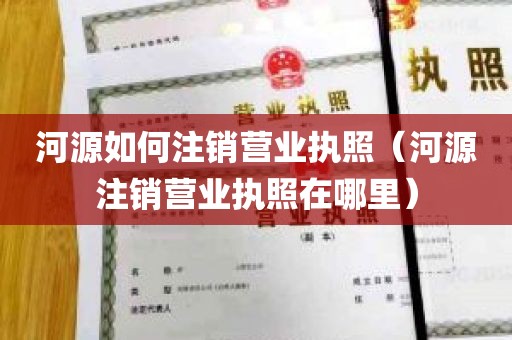 河源如何注销营业执照（河源注销营业执照在哪里）