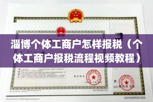 淄博个体工商户怎样报税（个体工商户报税流程视频教程）