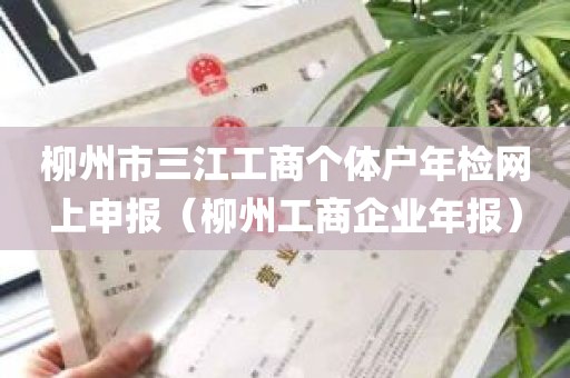 柳州市三江工商个体户年检网上申报（柳州工商企业年报）