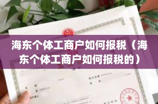 海东个体工商户如何报税（海东个体工商户如何报税的）