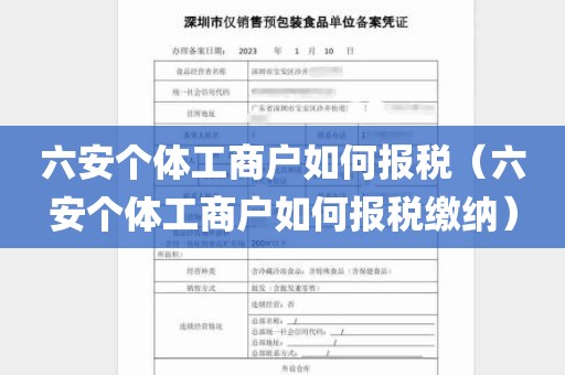 六安个体工商户如何报税（六安个体工商户如何报税缴纳）