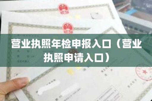 营业执照年检申报入口（营业执照申请入口）