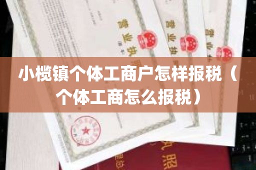 小榄镇个体工商户怎样报税（个体工商怎么报税）