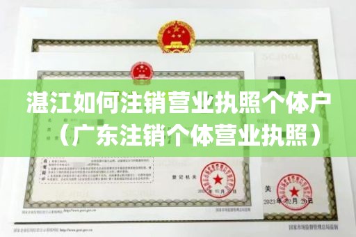 湛江如何注销营业执照个体户（广东注销个体营业执照）