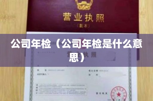 公司年检（公司年检是什么意思）