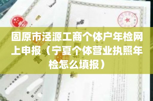 固原市泾源工商个体户年检网上申报（宁夏个体营业执照年检怎么填报）