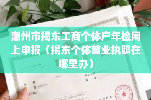 潮州市揭东工商个体户年检网上申报（揭东个体营业执照在哪里办）