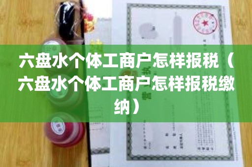 六盘水个体工商户怎样报税（六盘水个体工商户怎样报税缴纳）