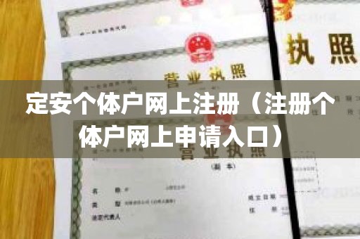 定安个体户网上注册（注册个体户网上申请入口）