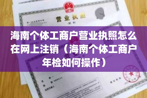 海南个体工商户营业执照怎么在网上注销（海南个体工商户年检如何操作）