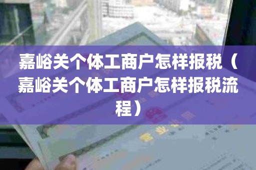 嘉峪关个体工商户怎样报税（嘉峪关个体工商户怎样报税流程）