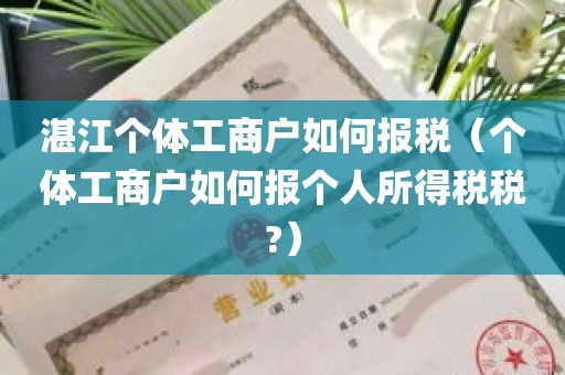 湛江个体工商户如何报税（个体工商户如何报个人所得税税?）