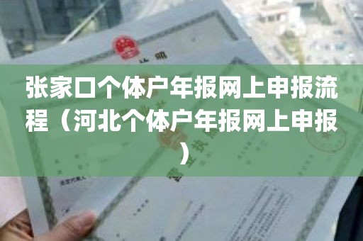 张家口个体户年报网上申报流程（河北个体户年报网上申报）