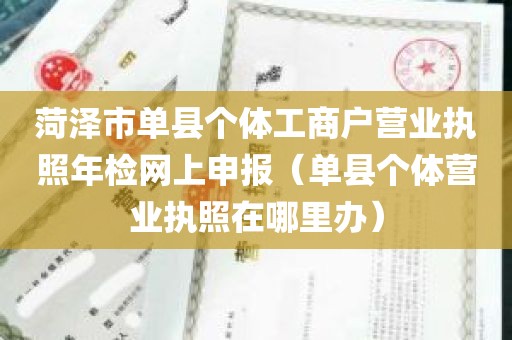 菏泽市单县个体工商户营业执照年检网上申报（单县个体营业执照在哪里办）