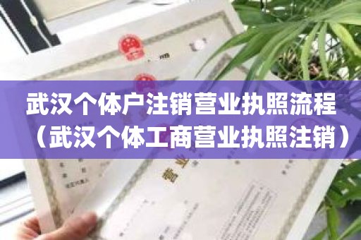 武汉个体户注销营业执照流程（武汉个体工商营业执照注销）