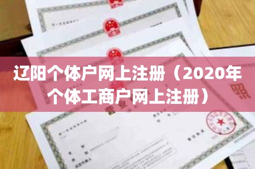 辽阳个体户网上注册（2020年个体工商户网上注册）