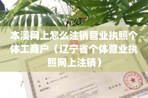 本溪网上怎么注销营业执照个体工商户（辽宁省个体营业执照网上注销）