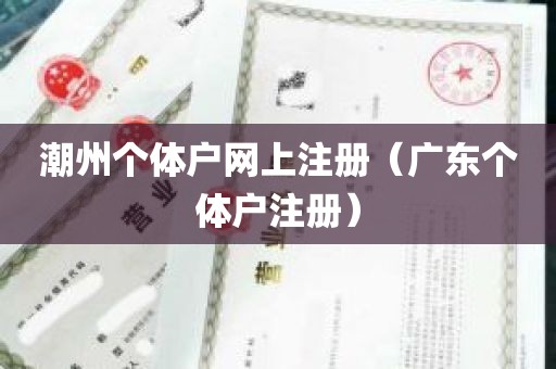 潮州个体户网上注册（广东个体户注册）