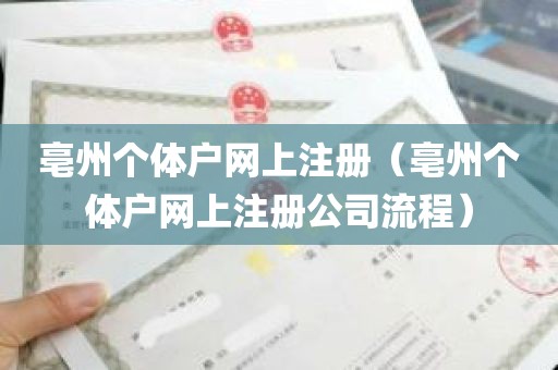 亳州个体户网上注册（亳州个体户网上注册公司流程）