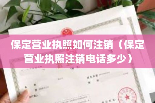 保定营业执照如何注销（保定营业执照注销电话多少）