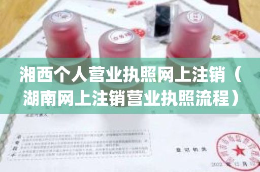 湘西个人营业执照网上注销（湖南网上注销营业执照流程）