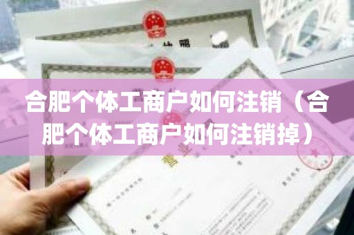 合肥个体工商户如何注销（合肥个体工商户如何注销掉）