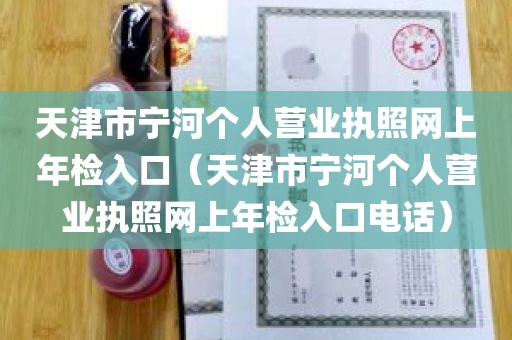 天津市宁河个人营业执照网上年检入口（天津市宁河个人营业执照网上年检入口电话）