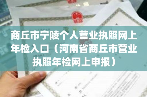 商丘市宁陵个人营业执照网上年检入口（河南省商丘市营业执照年检网上申报）