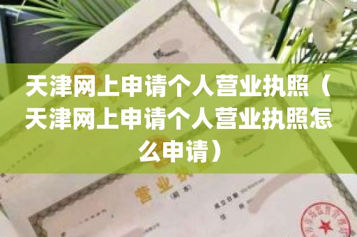 天津网上申请个人营业执照（天津网上申请个人营业执照怎么申请）