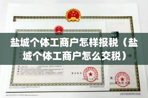 盐城个体工商户怎样报税（盐城个体工商户怎么交税）