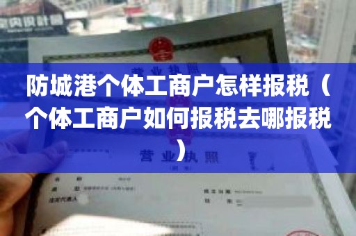 防城港个体工商户怎样报税（个体工商户如何报税去哪报税）