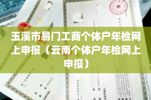 玉溪市易门工商个体户年检网上申报（云南个体户年检网上申报）