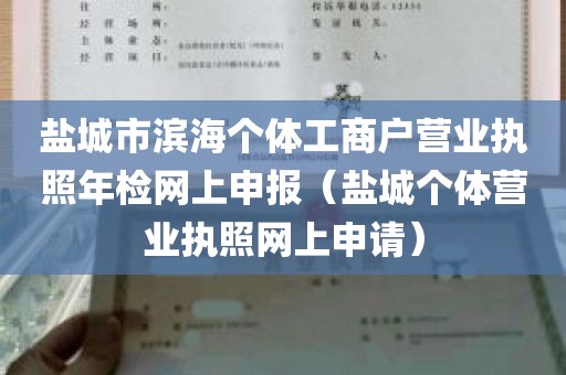 盐城市滨海个体工商户营业执照年检网上申报（盐城个体营业执照网上申请）