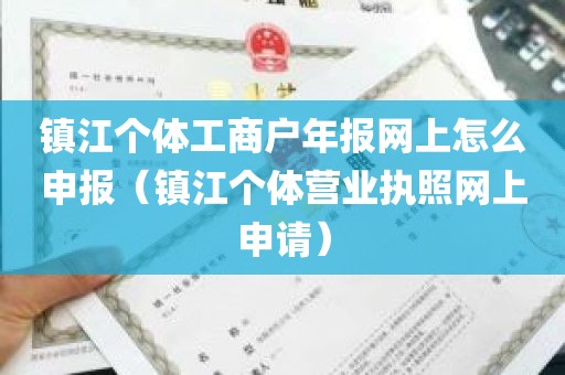 镇江个体工商户年报网上怎么申报（镇江个体营业执照网上申请）