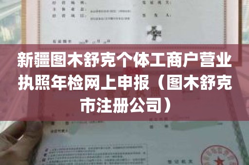 新疆图木舒克个体工商户营业执照年检网上申报（图木舒克市注册公司）