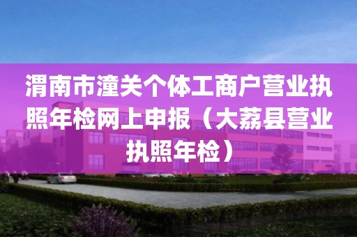 渭南市潼关个体工商户营业执照年检网上申报（大荔县营业执照年检）