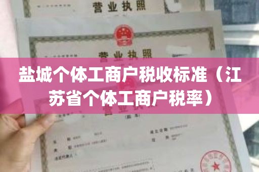 盐城个体工商户税收标准（江苏省个体工商户税率）